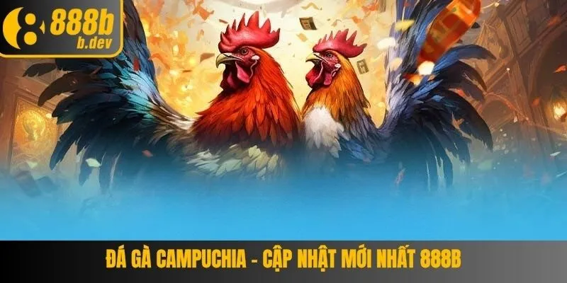 Đá gà Campuchia