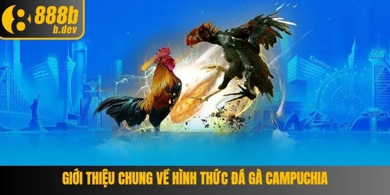 Lựa chọn tỷ lệ cược để vào tiền cược