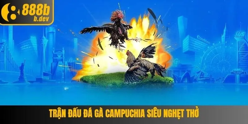 Giới thiệu chung về hình thức chơi đấu đá gà Campuchia