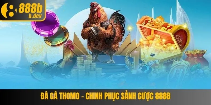 Đá Gà Thomo