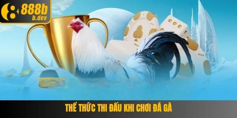 Hiểu rõ các thông tin cơ bản về đá gà thomo